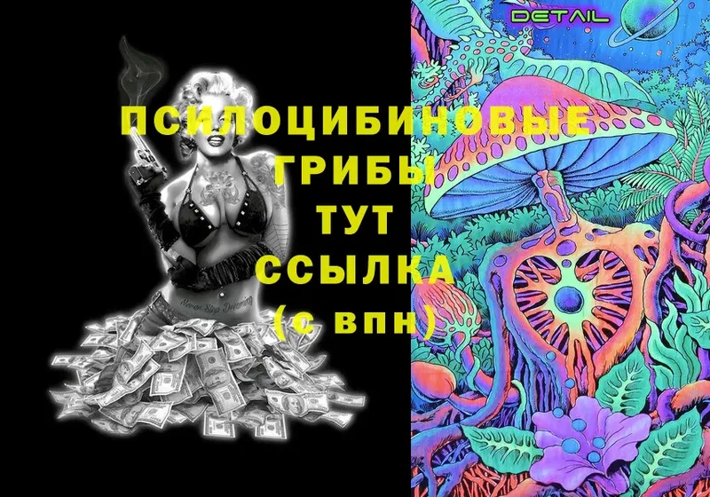 Галлюциногенные грибы Psilocybine cubensis  как найти закладки  Верещагино 